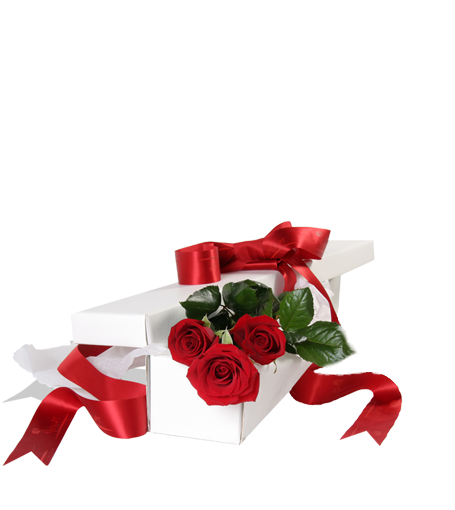 Decoflorália