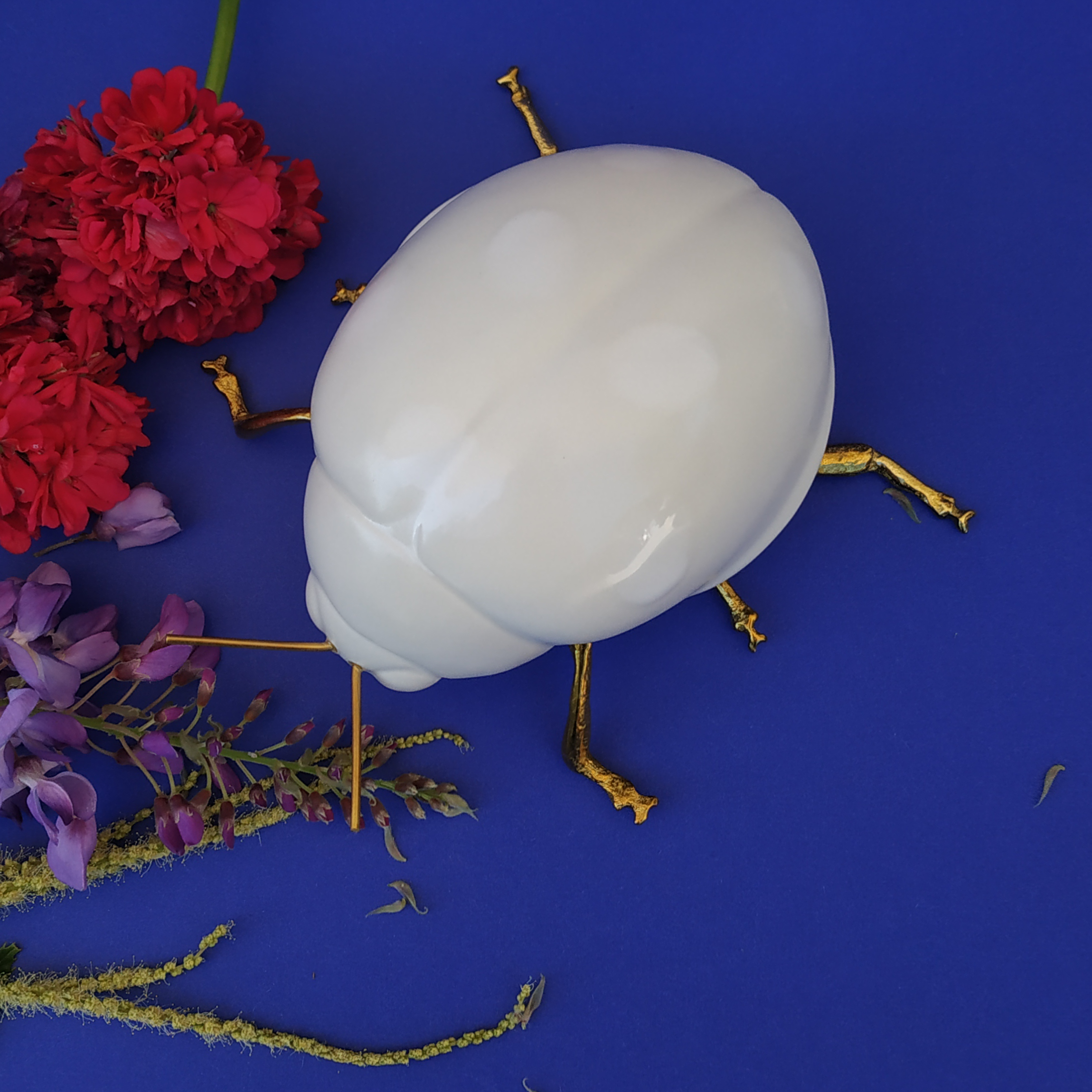 Orpheu Decor