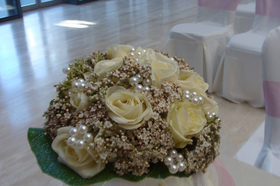 Universo Elegante