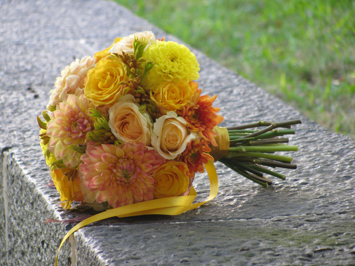All FLowers