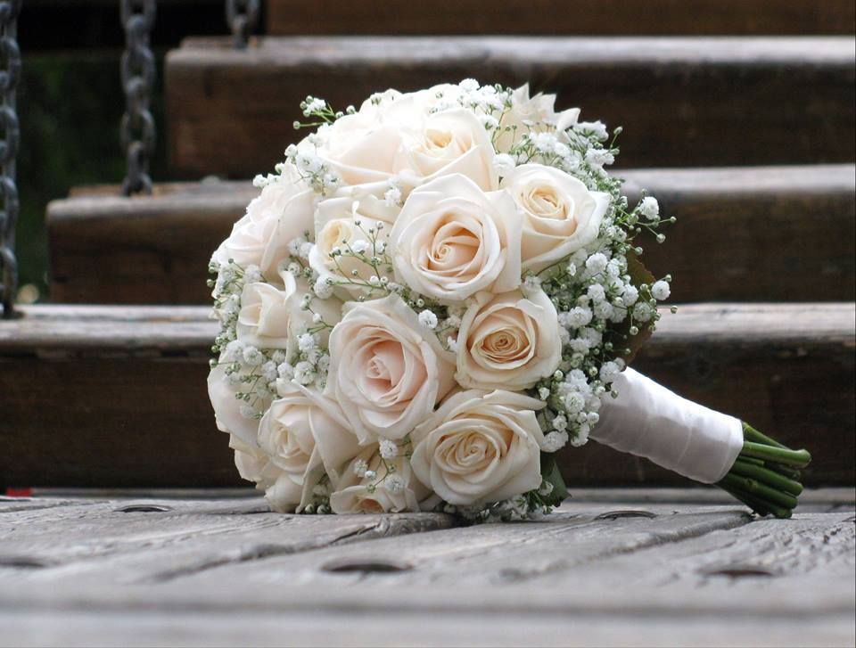 All Flowers, Lda.