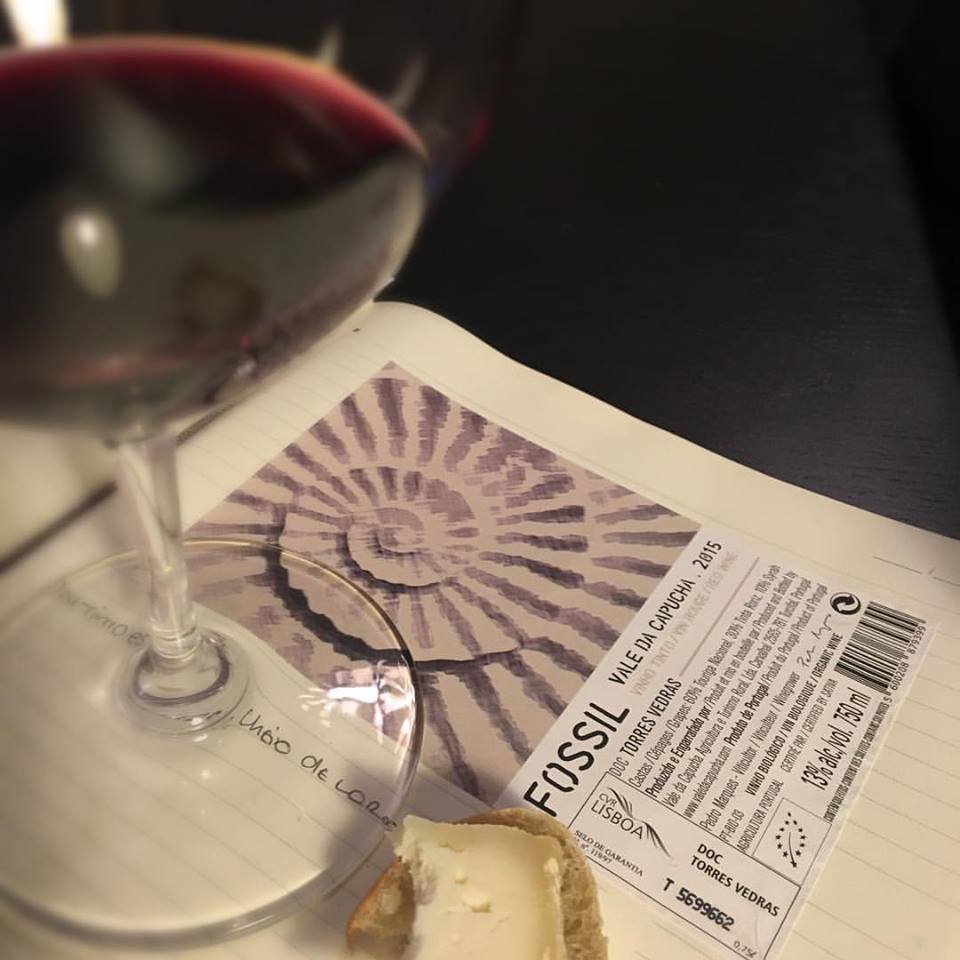 Estado Liquido - Wines & Spirits