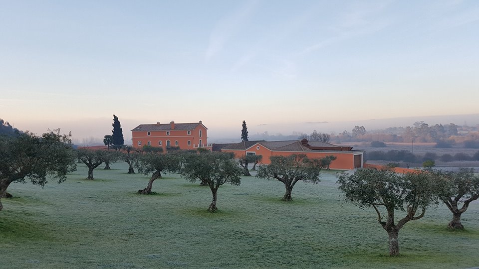 Quinta do Monte Redondo