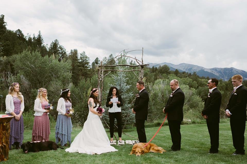 wedding-party-dogs