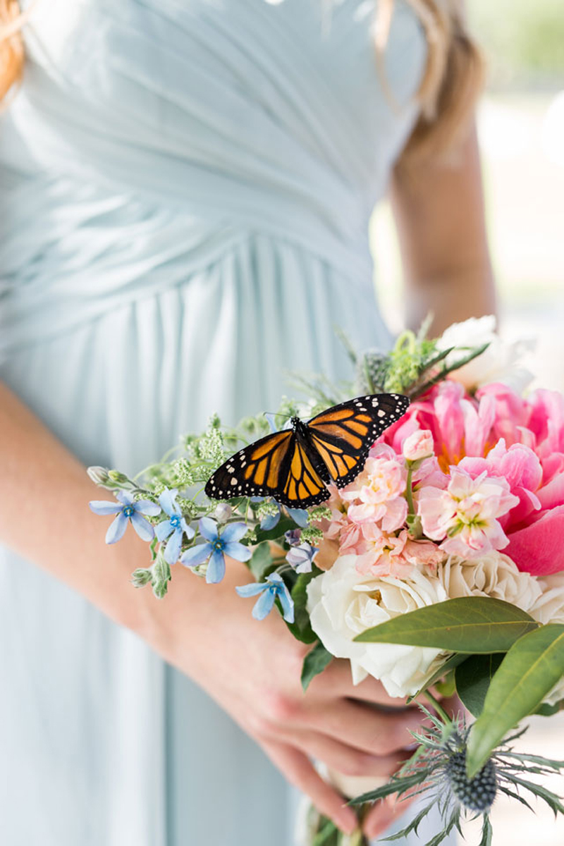 Créditos: Bri Cibene Photography