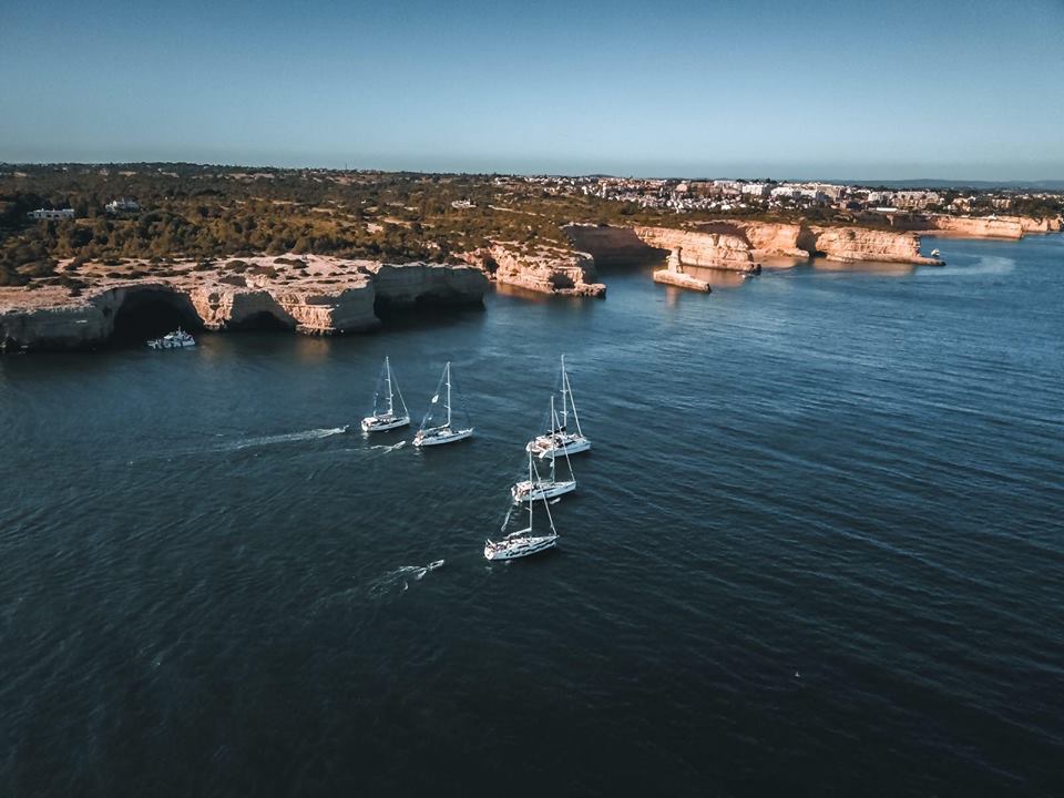 The Ocean Week