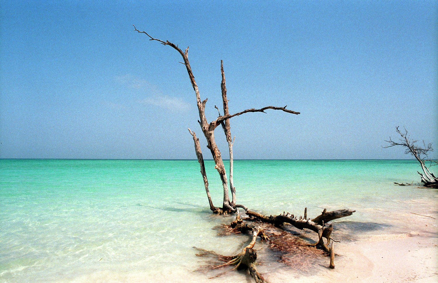 Cayo Jutías. Créditos: Jonas Zagatta via Unsplash