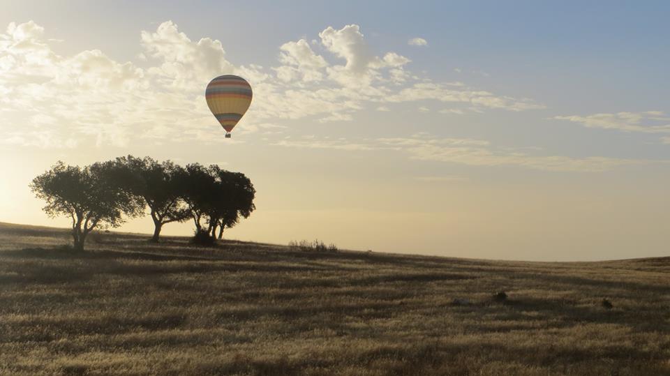 Herdade da Malhadinha Nova