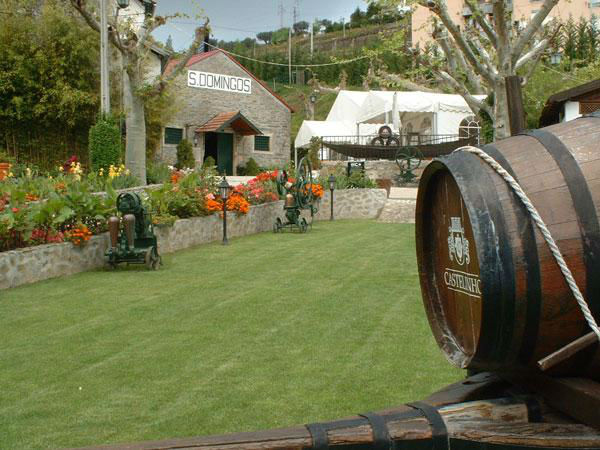 Quinta de S. Domingos,  Castelinhos