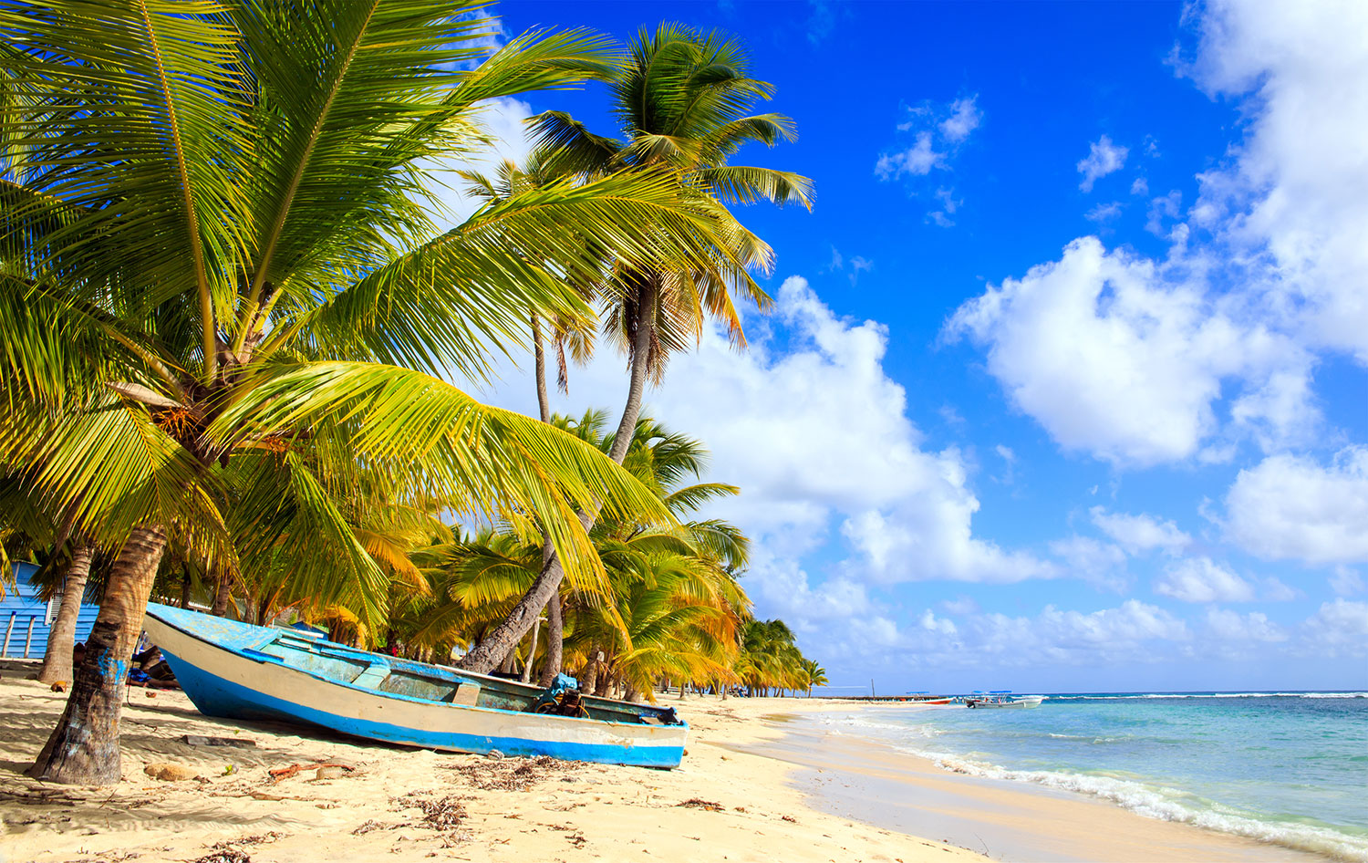 Logitravel. Punta Cana. Créditos: Shutterstock