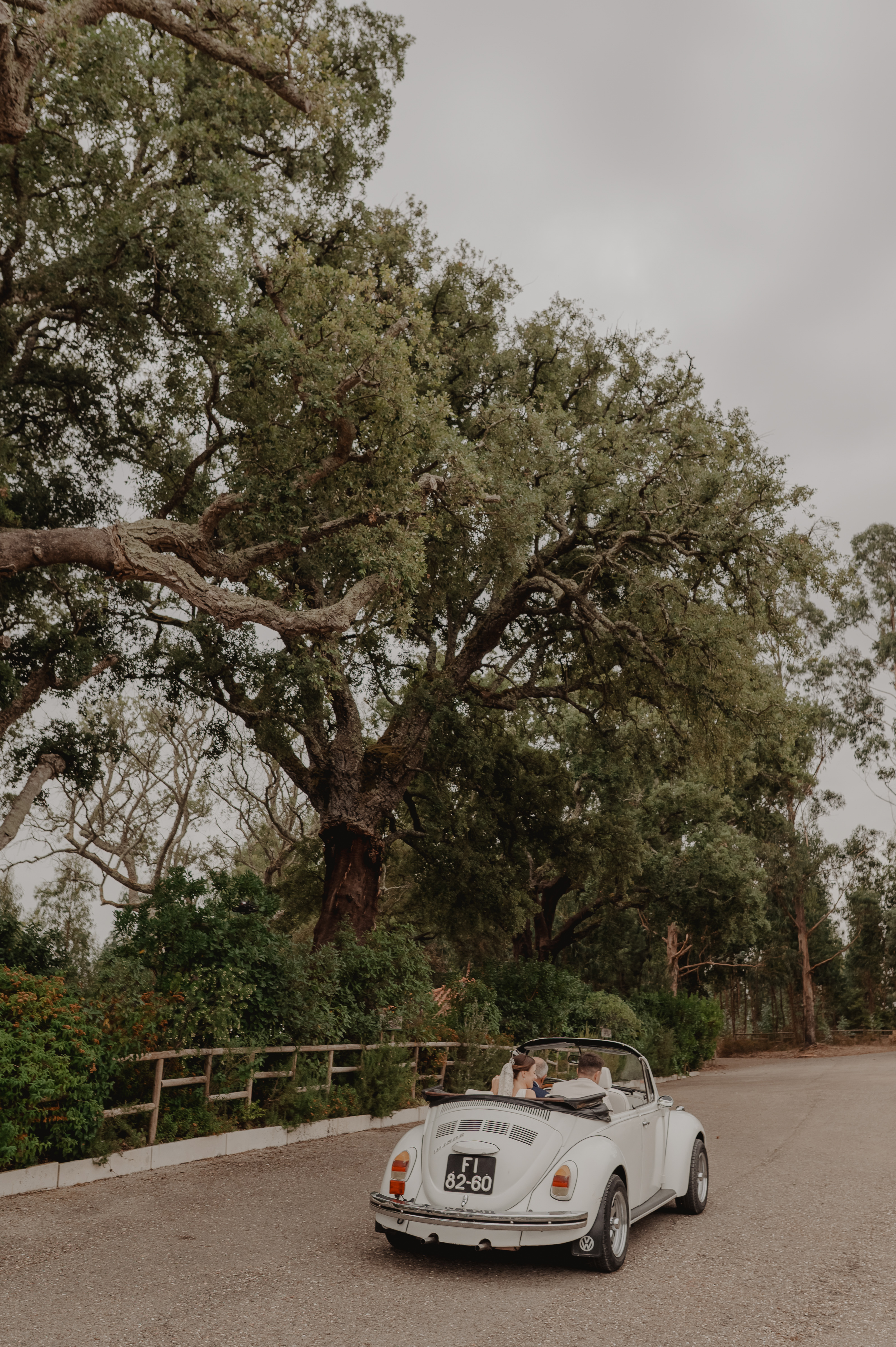 photographer: Sérgio Nogueira  