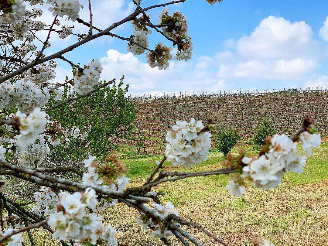 Quinta do Gradil