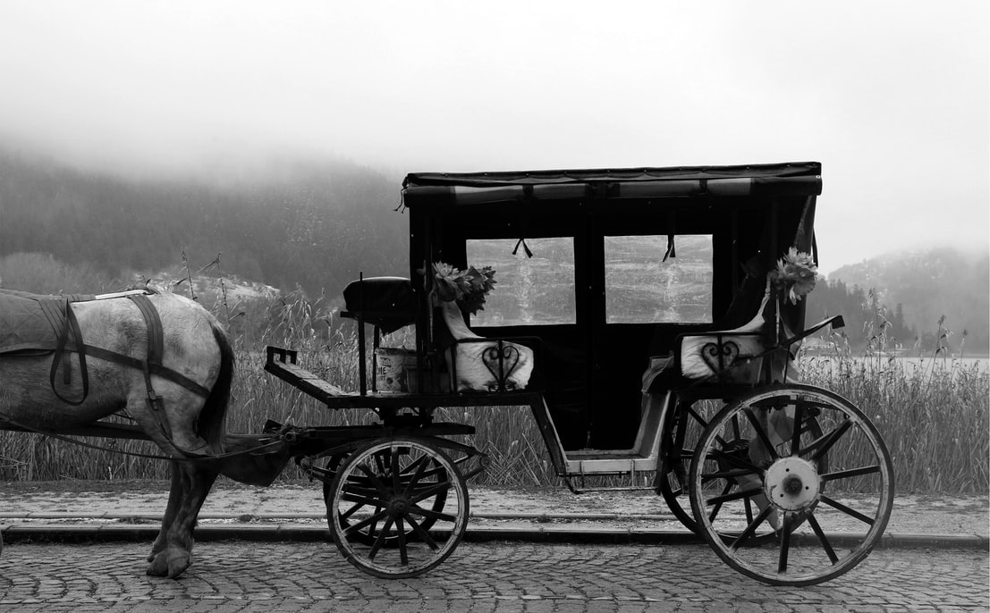 chegada dos noivos de charrete e cavalo