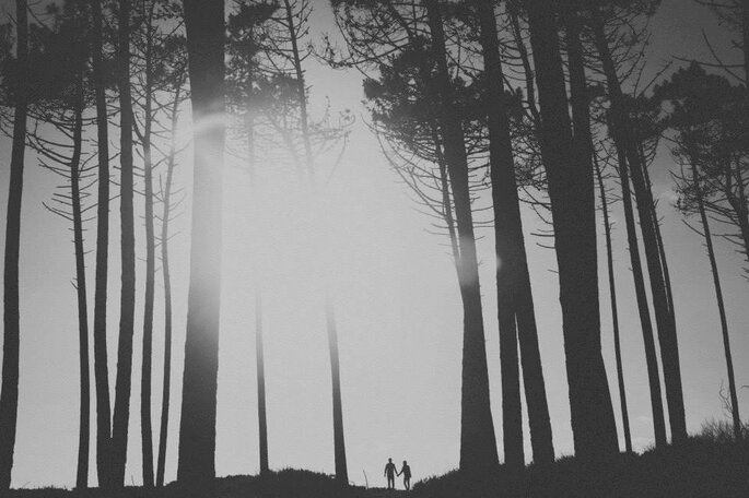 Diana Nobre Photography