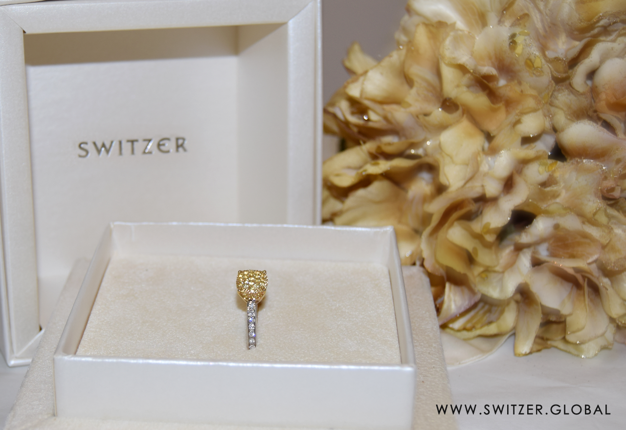 Switzer