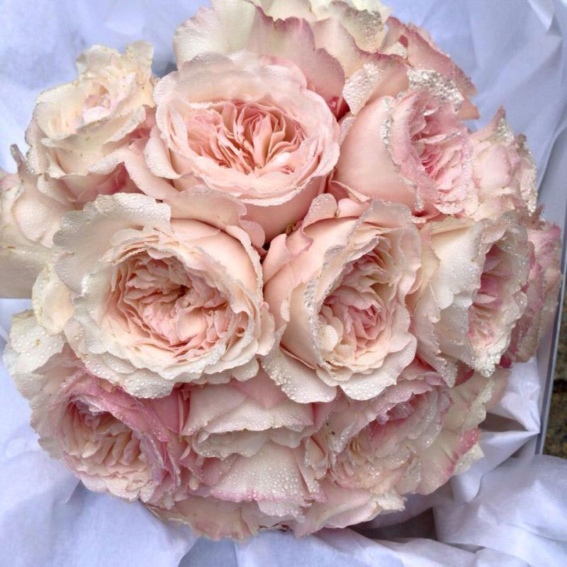 Bloom Flores & Eventos 