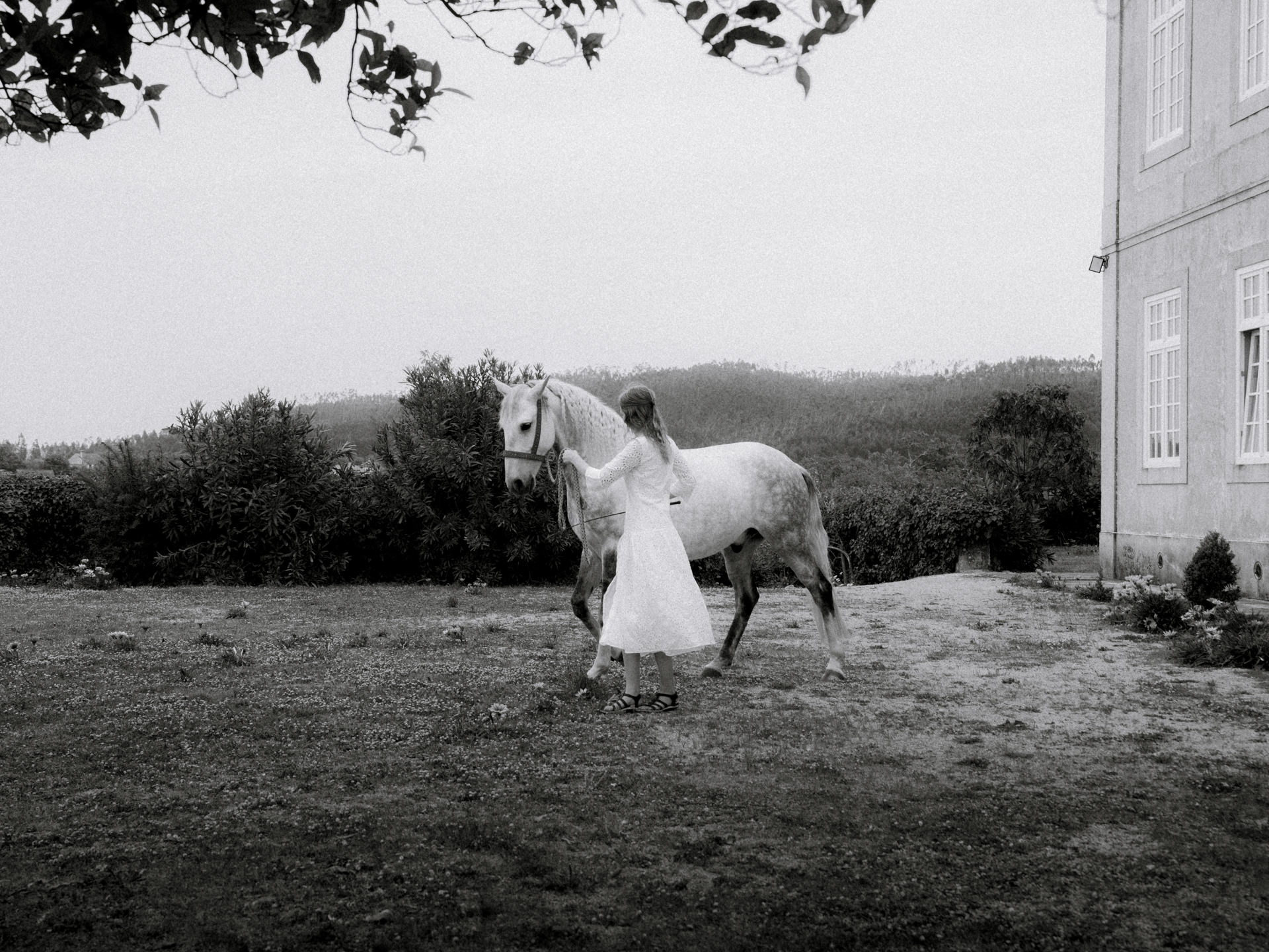 Foto: Detail Wedding Photography